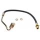 Purchase Top-Quality Front Brake Hose by RAYBESTOS - BH38539 pa1