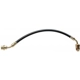 Purchase Top-Quality Front Brake Hose by RAYBESTOS - BH38554 pa11
