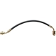 Purchase Top-Quality Front Brake Hose by RAYBESTOS - BH38554 pa14
