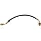 Purchase Top-Quality Front Brake Hose by RAYBESTOS - BH38554 pa4