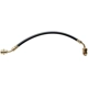 Purchase Top-Quality Front Brake Hose by RAYBESTOS - BH38554 pa7
