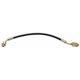 Purchase Top-Quality Front Brake Hose by RAYBESTOS - BH38568 pa2