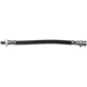 Purchase Top-Quality Front Brake Hose by RAYBESTOS - BH38805 pa4