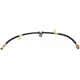 Purchase Top-Quality Front Brake Hose by RAYBESTOS - BH38831 pa10
