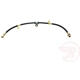 Purchase Top-Quality Front Brake Hose by RAYBESTOS - BH38831 pa5