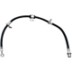 Purchase Top-Quality Front Brake Hose by RAYBESTOS - BH38832 pa17