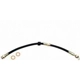 Purchase Top-Quality Front Brake Hose by RAYBESTOS - BH38842 pa17