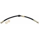 Purchase Top-Quality Front Brake Hose by RAYBESTOS - BH38842 pa2