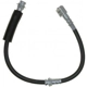 Purchase Top-Quality Front Brake Hose by RAYBESTOS - BH38851 pa13