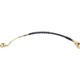 Purchase Top-Quality RAYBESTOS - BH38862 - Front Brake Hose pa13