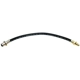 Purchase Top-Quality Front Brake Hose by RAYBESTOS - BH38881 pa2