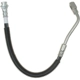Purchase Top-Quality Front Brake Hose by RAYBESTOS - BH38884 pa15