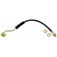 Purchase Top-Quality Front Brake Hose by RAYBESTOS - BH38899 pa10