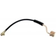 Purchase Top-Quality Front Brake Hose by RAYBESTOS - BH38900 pa11