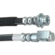 Purchase Top-Quality Front Brake Hose by RAYBESTOS - BH38906 pa13