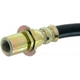 Purchase Top-Quality Front Brake Hose by RAYBESTOS - BH38916 pa14