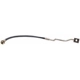Purchase Top-Quality Front Brake Hose by RAYBESTOS - BH38947 pa2