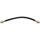 Purchase Top-Quality Front Brake Hose by RAYBESTOS - BH38995 pa2