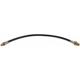 Purchase Top-Quality Front Brake Hose by RAYBESTOS - BH8116 pa2