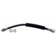 Purchase Top-Quality Front Brake Hose by SUNSONG NORTH AMERICA - 2201037 pa1