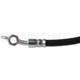 Purchase Top-Quality Front Brake Hose by SUNSONG NORTH AMERICA - 2203721 pa2