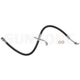 Purchase Top-Quality Front Brake Hose by SUNSONG NORTH AMERICA - 2205523 pa1
