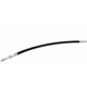 Purchase Top-Quality Front Brake Hose by VAICO - V10-4117 pa1