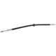 Purchase Top-Quality Front Brake Hose by VAICO - V95-0480 pa1