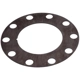 Purchase Top-Quality Front Brake Rotor Shim by RAYBESTOS - BA40206 pa1