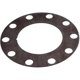 Purchase Top-Quality Front Brake Rotor Shim by RAYBESTOS - BA40206 pa2