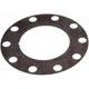 Purchase Top-Quality Front Brake Rotor Shim by RAYBESTOS - BA40206 pa4