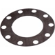 Purchase Top-Quality Front Brake Rotor Shim by RAYBESTOS - BA40206 pa5