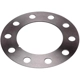 Purchase Top-Quality Front Brake Rotor Shim by RAYBESTOS - BA80106 pa1