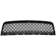 Purchase Top-Quality Front Bumper Grille - BM1036136 pa1