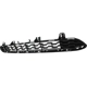 Purchase Top-Quality Front Bumper Grille - BM1036169 pa2