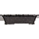 Purchase Top-Quality Front Bumper Grille - BM1036191 pa1