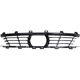 Purchase Top-Quality Front Bumper Grille - BM1036198 pa1