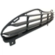 Purchase Top-Quality Front Bumper Grille - CH1036101 pa6