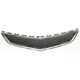 Purchase Top-Quality Front Bumper Grille - GM1036120 pa8