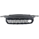 Purchase Top-Quality Front Bumper Grille - HO1036117 pa2