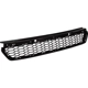 Purchase Top-Quality Front Bumper Grille - HO1036136 pa3