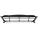 Purchase Top-Quality Various Manufacturers - HY1036116 - Front Bumper Grille pa1