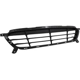Purchase Top-Quality Various Manufacturers - HY1036116 - Front Bumper Grille pa3