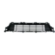 Purchase Top-Quality Grille de pare-chocs avant - LX1036110C pa1