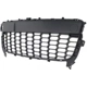 Purchase Top-Quality Front Bumper Grille - MA1036108 pa2