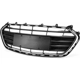 Purchase Top-Quality Front Bumper Grille - GM1036196 pa1