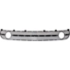 Purchase Top-Quality Front Bumper Grille - VW1036104 pa2