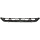 Purchase Top-Quality Front Bumper Grille - VW1036145 pa7