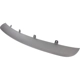 Purchase Top-Quality Front Bumper Protector - BM1009100 pa5