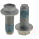 Purchase Top-Quality Front Caliper Bolt Or Pin by RAYBESTOS - 82517 pa4